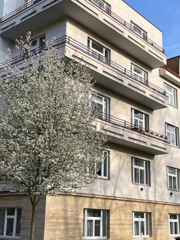 Apartma V Srdci Podebrad Подебрады Экстерьер фото